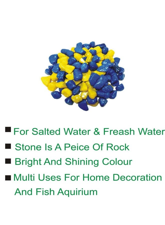 Somil Multicolor Pebbles/Stones for Garden, Plants, Lawns, Aquariums, Fish Pots, Home Decor, Vases, Furniture Filler. Size: 10-30mm, Shiny Multicolor -A668 - Image 2